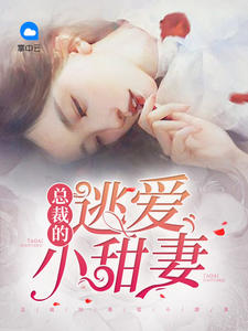 总裁的逃爱小甜妻甜味仙女