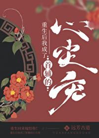 重生后我成了首辅的心尖宠
