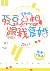 爱豆总想跟我复婚[娱乐圈]