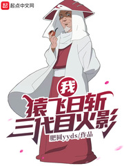 我,猿飞日斩!三代目火影