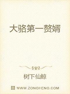 大骆第一赘婿