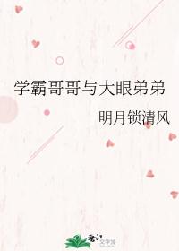 学霸哥哥与大眼弟弟