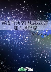 穿成首领宰以后我决定加入风纪委
