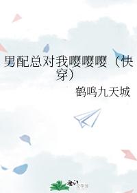 男配人设又崩了（快穿）