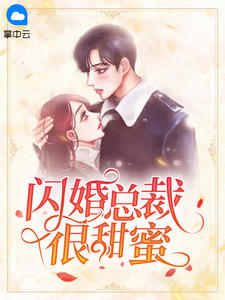 闪婚总裁很甜蜜江柳