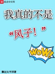 我真的不是风子
