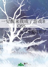 一觉醒来我成了游戏BOSS