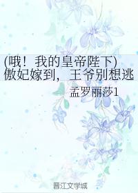 (哦！我的皇帝陛下)傲妃嫁到，王