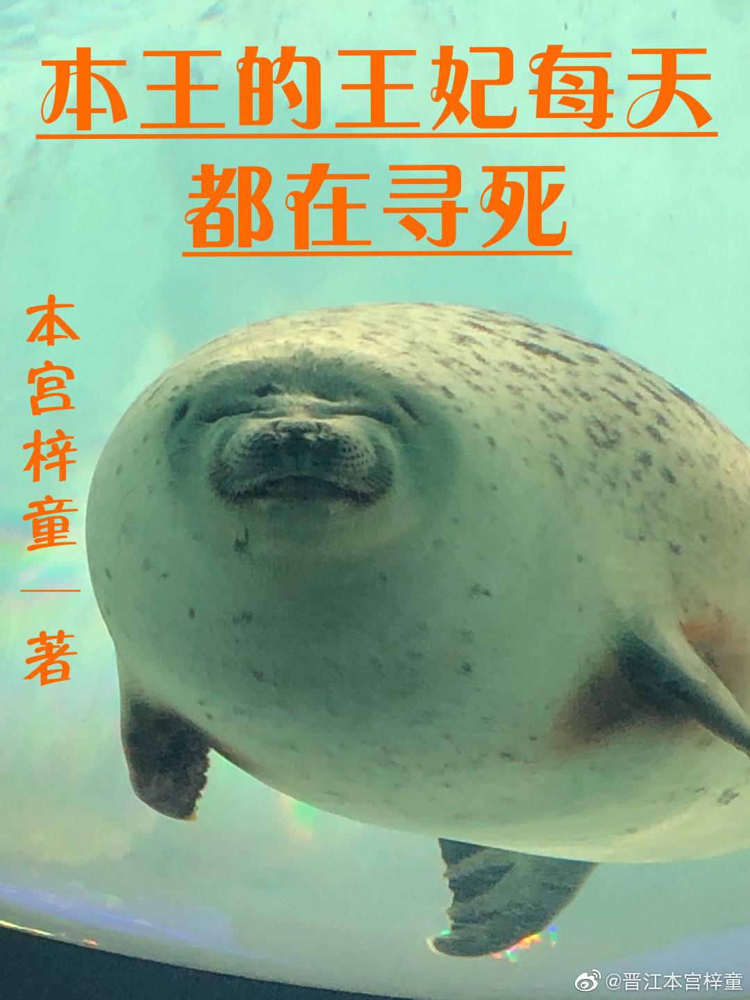 本王的王妃每天都在寻死