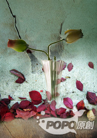 【闪１１】深渊