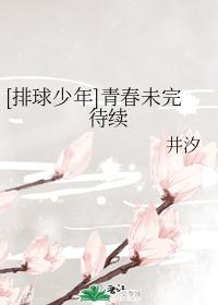[排球少年]青春未完待续
