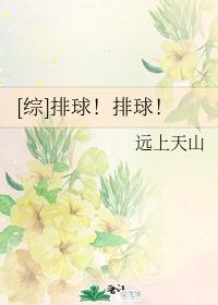 [综]排球！排球！