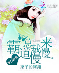 与你匆匆过客小说