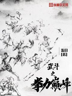 武斗之拳力巅峰