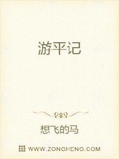 游平记