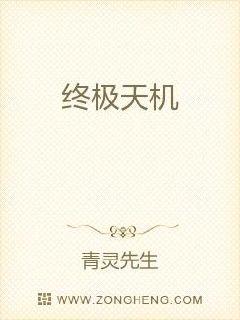 终极天机
