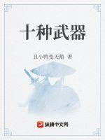 十种武器