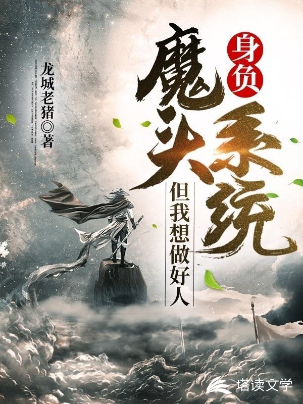 身负魔头系统但我想做好人