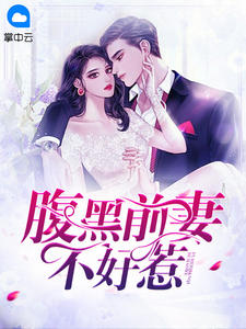 腹黑前妻不好惹陆汐穆瑾行