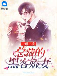一胎三宝，总裁的黑客娇妻甜蜜