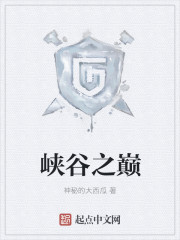 峡谷之巅