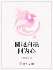 圆尾白墨何为心