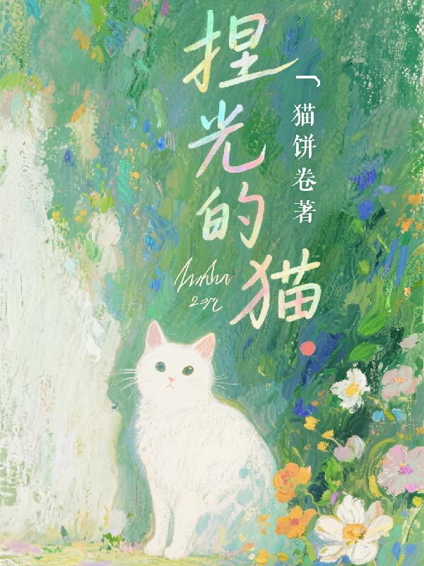 捏光的猫