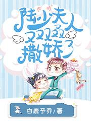 陆少夫人又双叒撒娇了