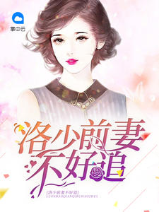 洛少前妻不好追季暖
