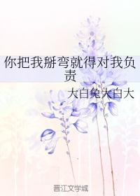 你把我掰弯就得对我负责