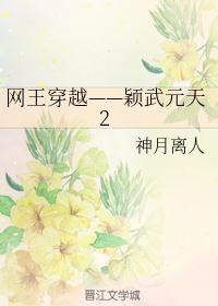 网王穿越——颖武元天2