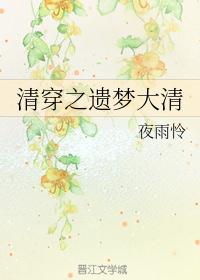 清穿之遗梦大清
