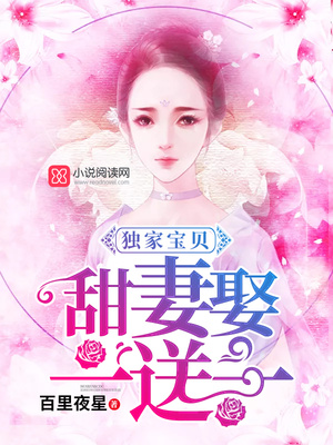 独家宝贝：甜妻娶一送一