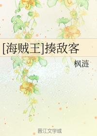 [海贼王]揍敌客