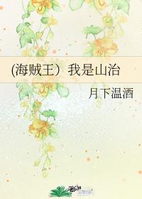 (海贼王）我是山治