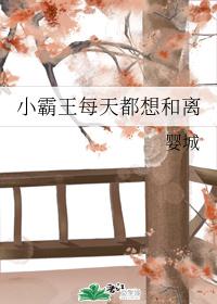 小霸王每天都想和离