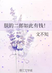 朕的二郎如此有钱