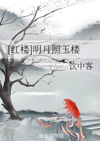 [红楼]明月照玉楼