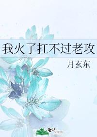 我火了杠不过老攻
