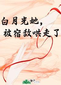 白月光她，被宿敌哄走了