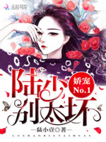 娇宠No.1：陆少，别太坏！