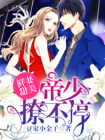 鲜妻甜美：帝少，撩不停！