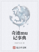 奇迹mu记事典