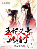 替身王妃：王爷，妾身不想嫁