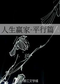 人生赢家·平行篇