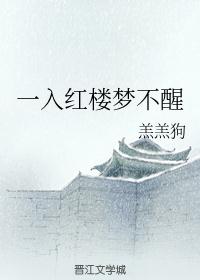 一入红楼梦不醒
