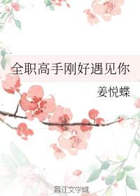全职高手刚好遇见你