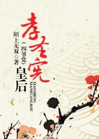 孝圣宪皇后（四爷党)