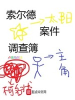 索尔德案件调查簿