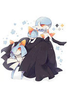 神奇宝贝之司空